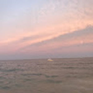 Meet your Posher, Ava